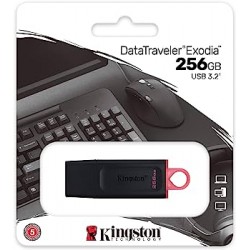 KINGSTONE PENDRIVE USB 3.2 - 256 GB